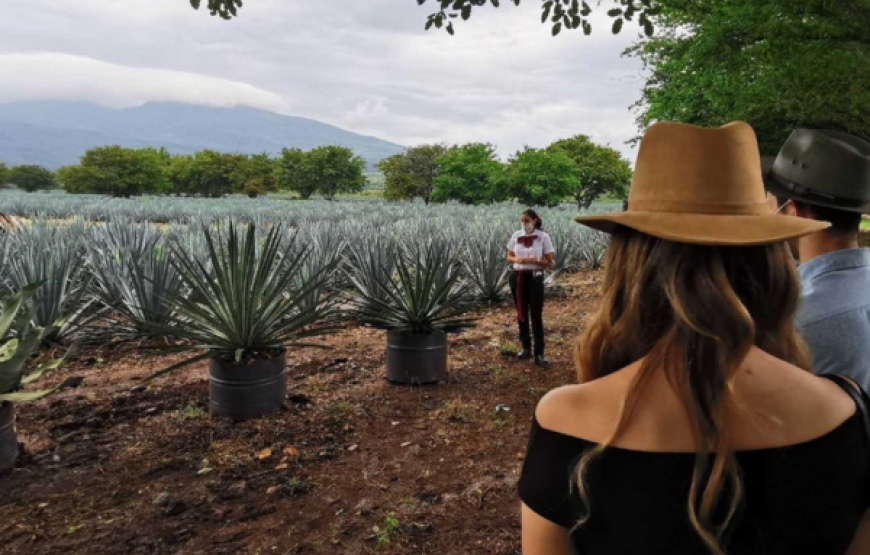 Fin de semana en Guadalajara y José Cuervo express 2024